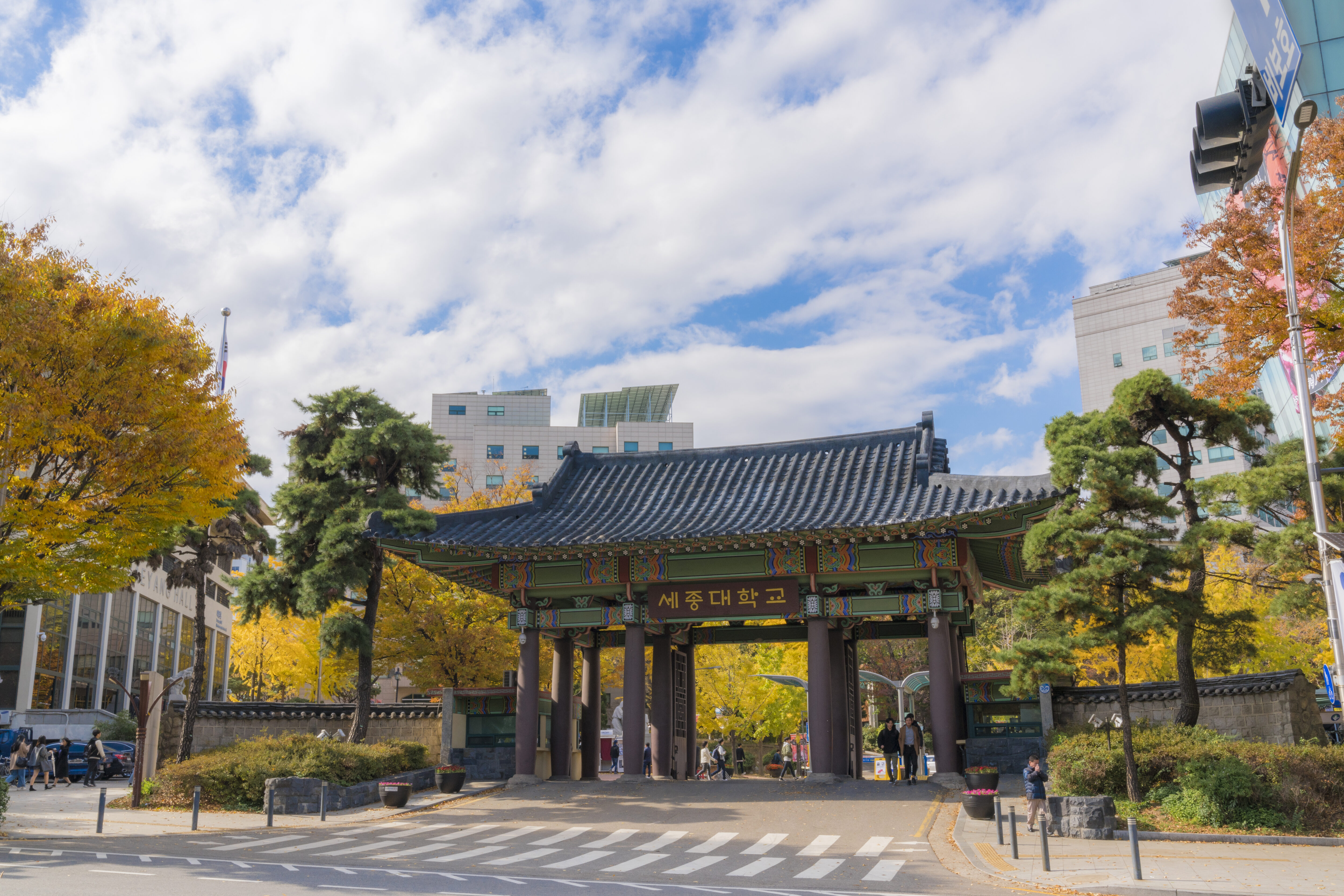 世宗大学風景