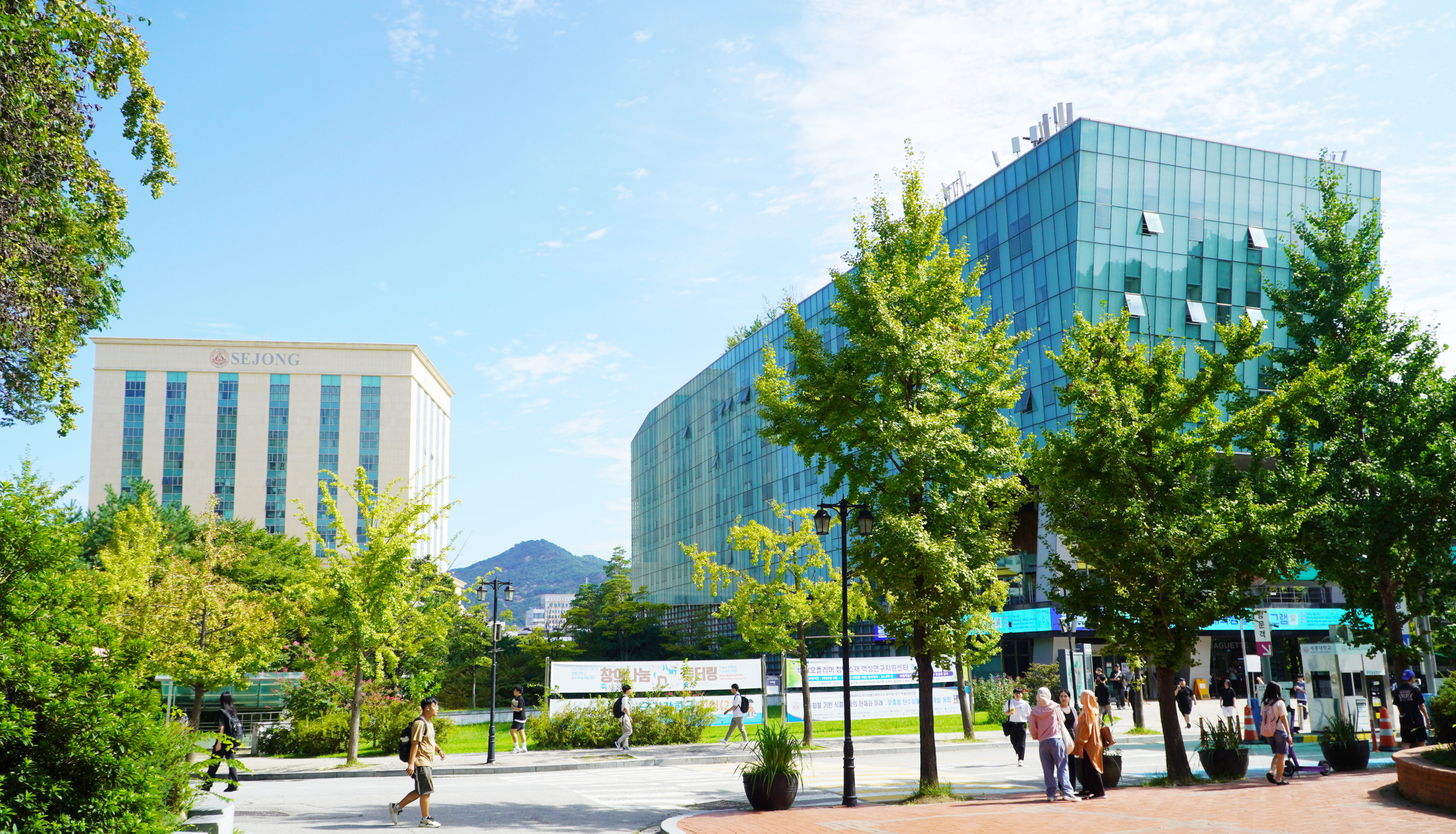 世宗大学風景